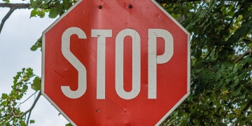 vali.lung image via Shutterstock