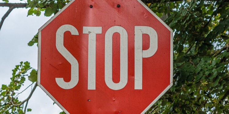 vali.lung image via Shutterstock