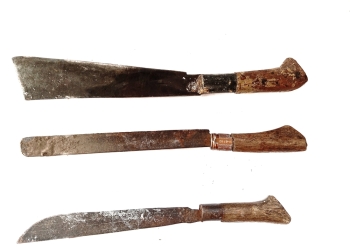 Akmalmm image via Shutterstock