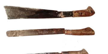 Akmalmm image via Shutterstock