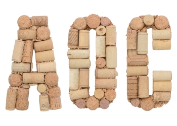 Tanya Po image via Shutterstock