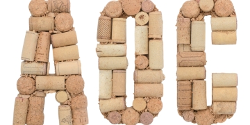 Tanya Po image via Shutterstock