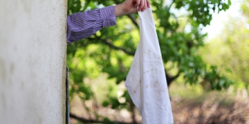 Egor Valeev image via Shutterstock