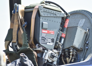 Daniele Raffanti image via Shutterstock