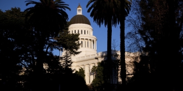 Deo Tree image via Shutterstock