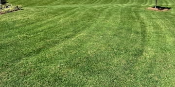 Everett R. Davis image via Shutterstock