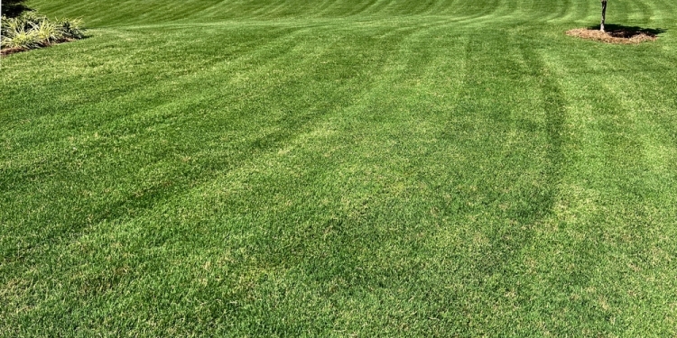 Everett R. Davis image via Shutterstock