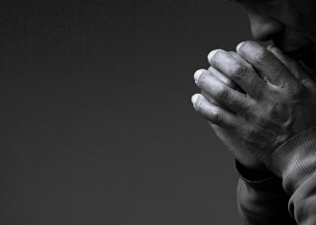 Herlanzer image via Shutterstock