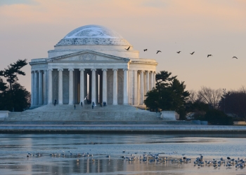 Orhan Cam image via Shutterstock
