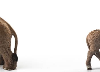 Victor Moussa image via Shutterstock