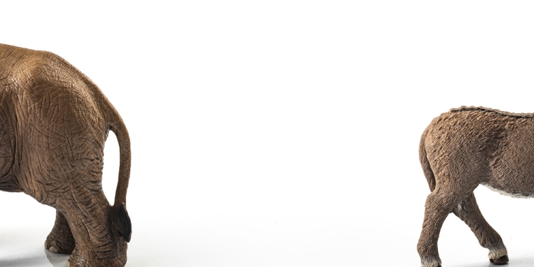 Victor Moussa image via Shutterstock