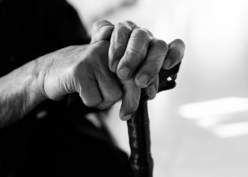 hxdbzxy image via Shutterstock