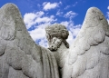 Volodja1984 image via Shutterstock