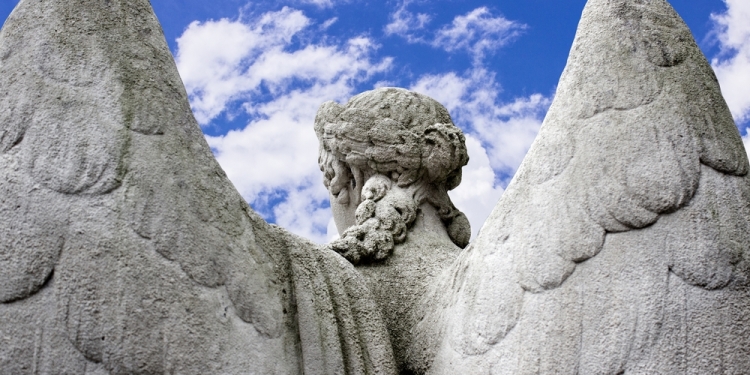 Volodja1984 image via Shutterstock