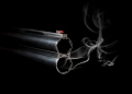 Olgysha image via Shutterstock