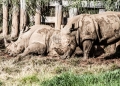 Curioso.Photography image via Shutterstock