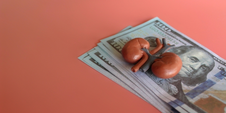 izzuanroslan image via Shutterstock