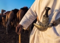 Hatem Alrashdi via Shutterstock