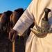 Hatem Alrashdi via Shutterstock