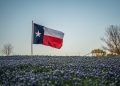 Lone Star Stock via Shutterstock