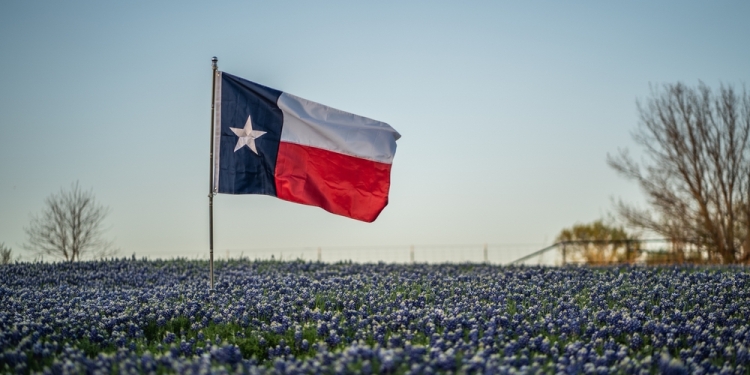 Lone Star Stock via Shutterstock
