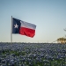 Lone Star Stock via Shutterstock