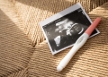 A HIP A HUB STOCK via Shutterstock