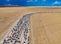 Terelyuk via Shutterstock