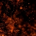 Jag_cz via Shutterstock