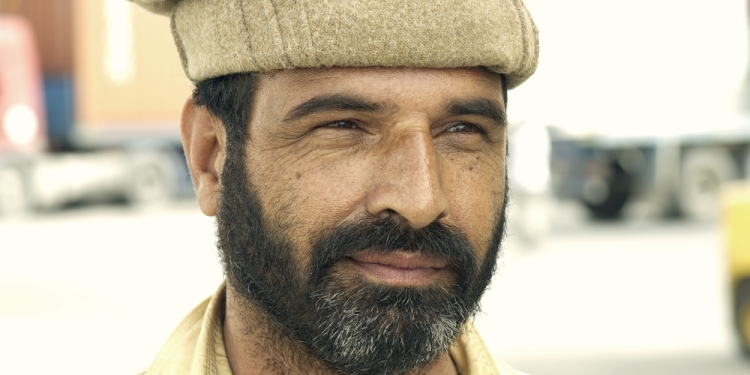 diplomedia via Shutterstock